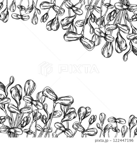 A vector border of farmers sunflower micro greens in black ink graphically. Equipment for gardens, greenhouses and florists. Healthy organic green food. Agriculture, cultivation of plants, flowers A vector border of farmers sunflower micro greens in black ink graphically. Equipment for gardens, greenhouses and florists. Healthy organic green food. Agriculture, cultivation of plants, flowers 122447196