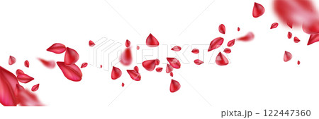 Flying rose petals stream on white background- 122447360