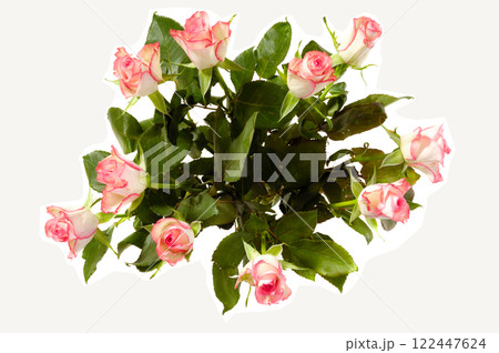 Rose bouquet 122447624