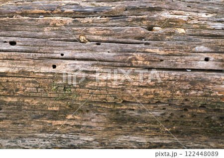 Old Weathered Wooden Surface Texture Old Weathered Wooden Surface Texture 122448089