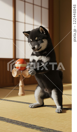けん玉をする柴犬 122448848