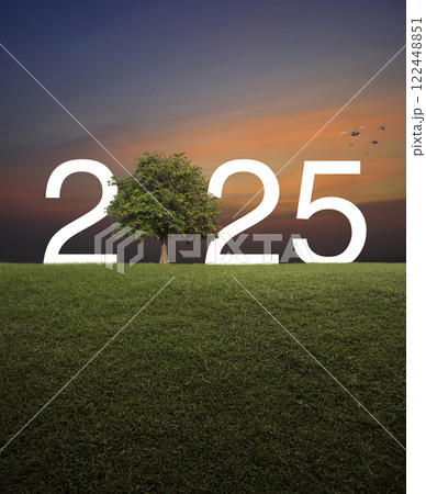 Happy new year 2025 ecological cover concept Happy new year 2025 ecological cover concept 122448851