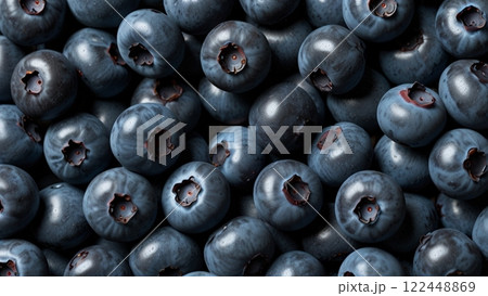 ブルーベリー 122448869