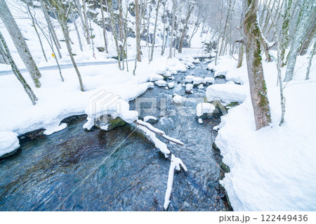 「青森県」雪景色の奥入瀬渓流 冬 「青森県」雪景色の奥入瀬渓流 冬 122449436