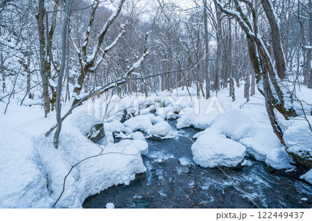 「青森県」雪景色の奥入瀬渓流 冬 「青森県」雪景色の奥入瀬渓流 冬 122449437