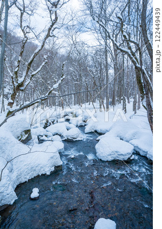 「青森県」雪景色の奥入瀬渓流　冬 122449439