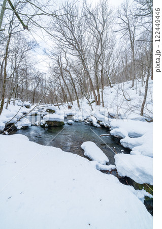 「青森県」雪景色の奥入瀬渓流　冬 122449446