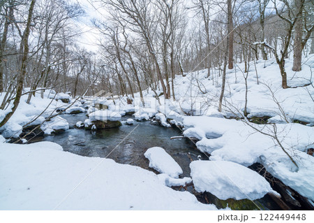 「青森県」雪景色の奥入瀬渓流　冬 122449448