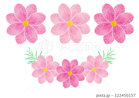 コスモス 122450157