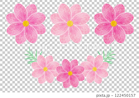 コスモス 122450157