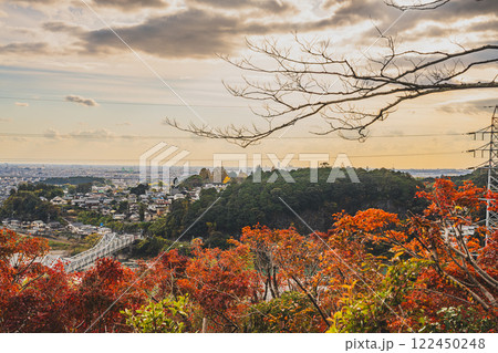 浜松市の鳥羽山公園展望台から見た夕方の紅葉と街並み(静岡県) 浜松市の鳥羽山公園展望台から見た夕方の紅葉と街並み(静岡県) 122450248