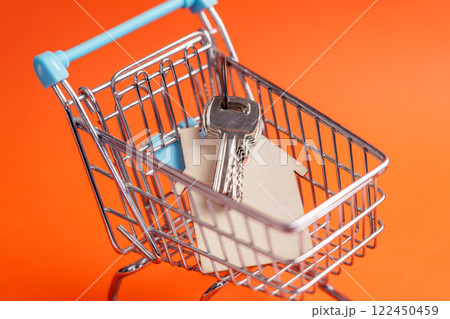 Home keys in small shopping cart. Bright creative orange color background. Keychain with wooden house shape. Conceptual miniature 122450459