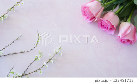 ピンクの薔薇とと雪柳、ピンク色の背景 122451715