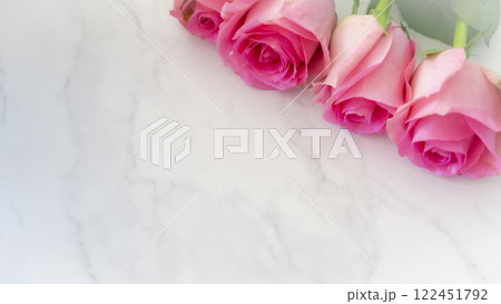 ピンクの薔薇と白い背景 ピンクの薔薇と白い背景 122451792