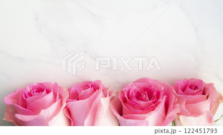 ピンクの薔薇と白い背景 122451793