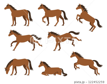 色々なポーズの馬のイラストセット（立つ・歩く・走る・ジャンプ・蹴る・草を食べる・座る） 122452259