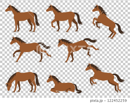 Illustration set of horses in various poses (standing, walking, running, jumping, kicking, eating grass, sitting) 122452259