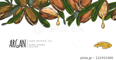 Argan leaves and nuts sketch, seamless border vector design, hand drawn cosmetic and medical plant, dripping oil fruits Argan leaves and nuts sketch, seamless border vector design, hand drawn cosmetic and medical plant, dripping oil fruits 122452460