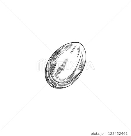 Argan nut engraved sketch vector icon, hand drawn cosmetic and medical plant, natural essential oil fruit, almond seed Argan nut engraved sketch vector icon, hand drawn cosmetic and medical plant, natural essential oil fruit, almond seed 122452461