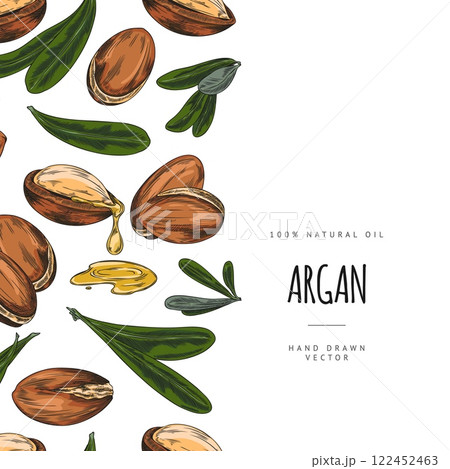 Argan leaves and nuts, dripping oil fruits sketch, seamless border vector design, hand drawn cosmetic and medical plant 122452463