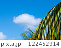 ヤシの木と青空 122452914