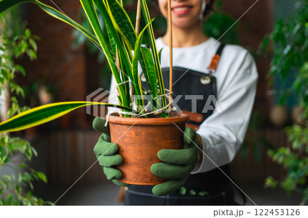 Gardening and agriculture. Florist farm worker hands holding plant in pot in botanical store. Small business owner gardener planting flowers working at flower shop surrounded by plants. Small business 122453126