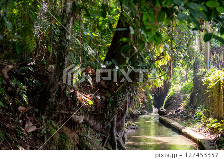 用水と緑の風景 用水と緑の風景 122453357
