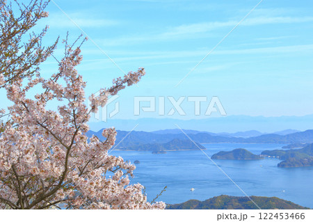 朝日山から桜越しの 瀬戸内海や四国山脈を望む 122453466