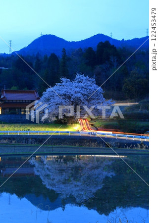 黄昏時の里山に咲く桜 黄昏時の里山に咲く桜 122453479