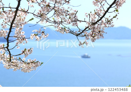 正福寺山公園(東広島市)の桜 122453488