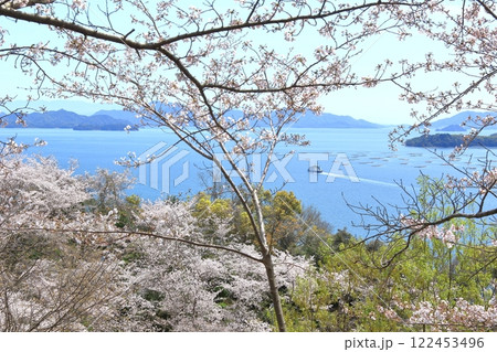 春の正福寺山公園から望む瀬戸内風景 122453496