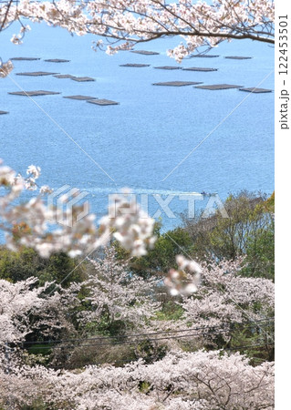 正福寺山公園(東広島市)から望む瀬戸内風景 122453501