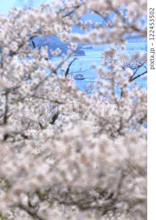 桜の隙間から見える瀬戸内海をゆくフェリー 桜の隙間から見える瀬戸内海をゆくフェリー 122453502