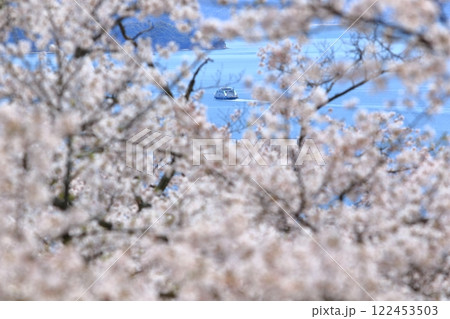 桜の隙間から見える瀬戸内海をゆくフェリー 桜の隙間から見える瀬戸内海をゆくフェリー 122453503