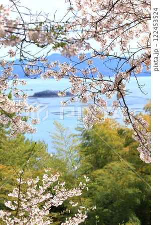 桜と瀬戸内海 122453524