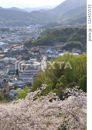春の正福寺山公園から安芸津(東広島市)の町を望む 122453535