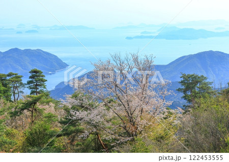 野呂山から望む桜越しの瀬戸内海 122453555