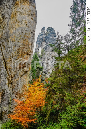 Beautiful autumn landscape with old Chapel of the Mother of God in Veveri. Sunset and beautiful blue sky with clouds. Colorful nature background on autumn season. Brno - Czech Republic. 122453564