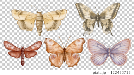 Set of delicate cute violet yellow beige brown butterflies. Hand drawn watercolor illustration on isolated white background. For decoration, design of romantic, children's and women's textiles Set of delicate cute violet yellow beige brown butterflies. Hand drawn watercolor illustration on isolated white background. For decoration, design of romantic, children's and women's textiles 122453715