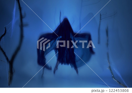Floating through mist, ghost like ballerina dancing in eerie ballet. Dark silk and ghostly motion create haunting mysterious performance 122453808