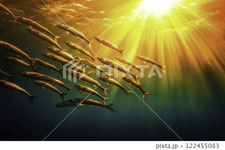 Underwater Scene with Fish Swimming Towards Sunlight Rays Underwater Scene with Fish Swimming Towards Sunlight Rays 122455083