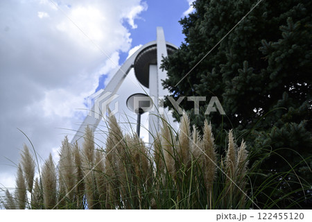 138タワーパークのパンパスグラス 122455120