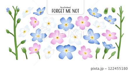Set of isolated Forget Me Not, Scorpion grasses. Cute flower illustration in hand drawn style. Pastel blue, pink and white color tones on a transparent background. 122455180