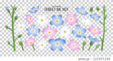 Set of isolated Forget Me Not, Scorpion grasses. Cute flower illustration in hand drawn style. Pastel blue, pink and white color tones on a transparent background. 122455180
