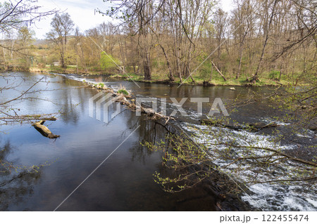 Dyje River in Podyji National Park near Znojmo town in the South Moravian Region of the Czech Republic, Europe. 122455474