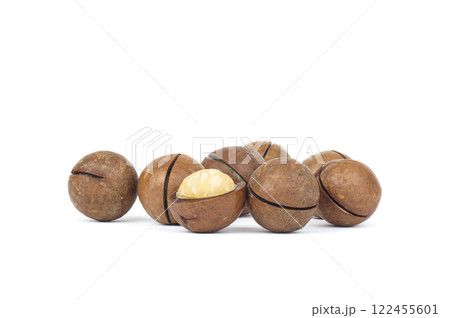 macadamia nuts on white background macadamia nuts on white background 122455601