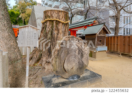 兵庫県　三宮　生田神社の風景 122455632