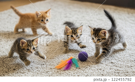 cat_002 122455792