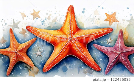 Vibrant watercolor starfish artwork on a clean white background showcasing marine beauty 122456053