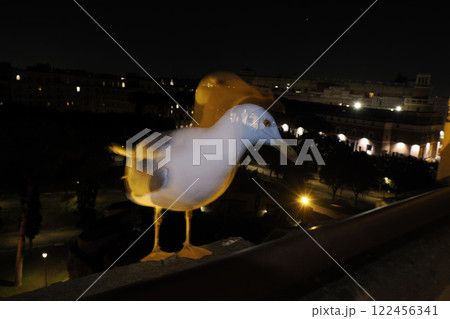 Seagull on Castel Sant'Angelo Castle wall night view 122456341